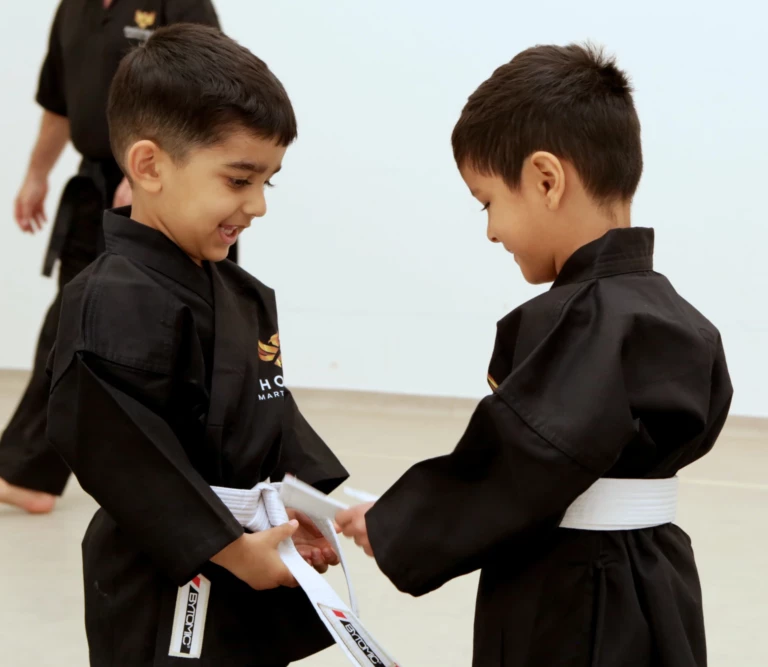 Beginners Path Karate